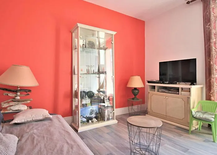 Appartement Lumineux Pour Famille A Royan, Quartier Calme Pres Du Marche, Balcon Et Parking Gratuit - Fr-1-738-26 *